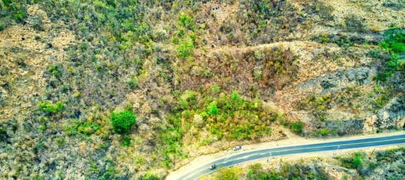 6637m² Hotel in Saint Joseph, Dominica No. 57 5