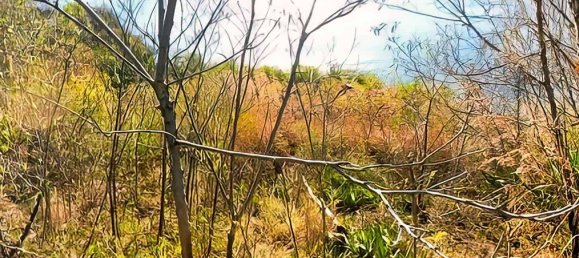 6637m² Hotel in Saint Joseph, Dominica No. 57 4