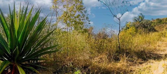 6637m² Hotel in Saint Joseph, Dominica No. 57 6