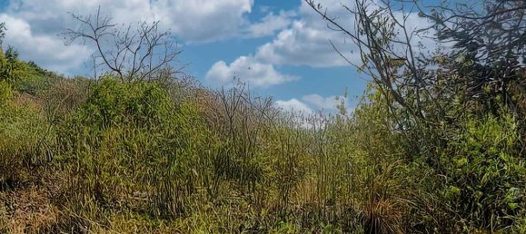 6637m² Hotel in Saint Joseph, Dominica No. 57 8