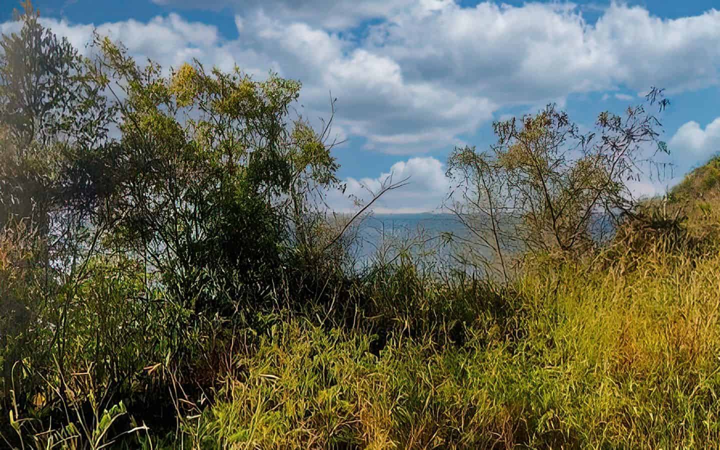 6637m² Hotel in Saint Joseph, Dominica No. 57