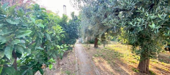 5-Zimmer Villa in Vasto, Italy, Nr. 21070 19