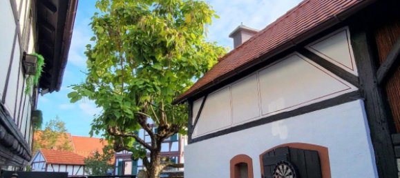 2 bedrooms House in Offenbach, Germany No. 291107 3