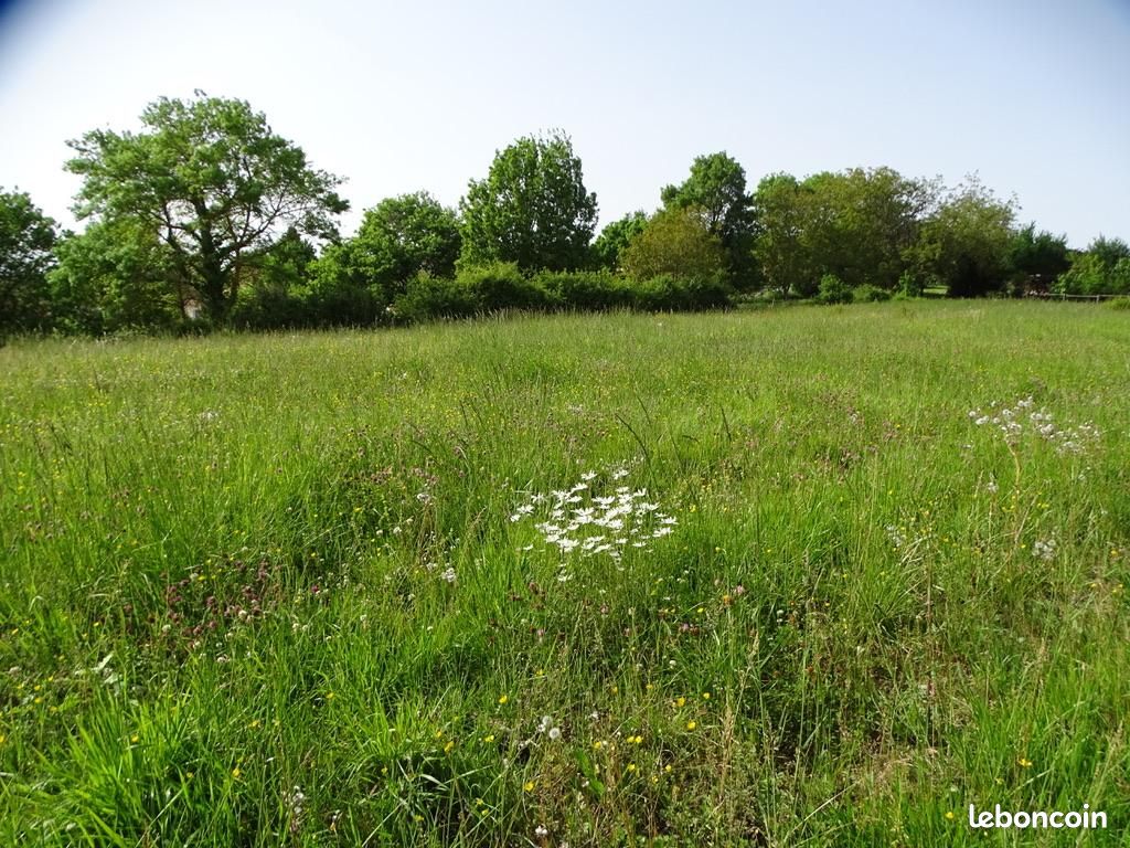 1250m² Land in L'Isle-Jourdain, France No. 113089
