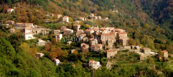 4 Schlafzimmer Haus in Rosazia, France, Nr. 317250 2