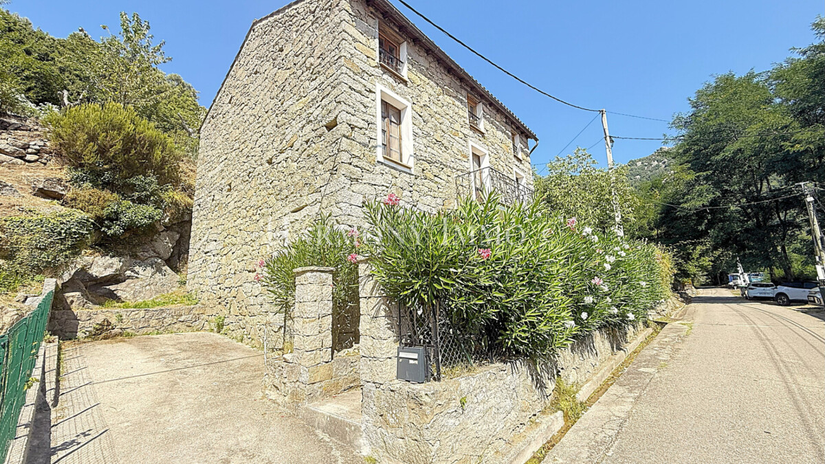 4 Schlafzimmer Haus in Rosazia, France, Nr. 317250