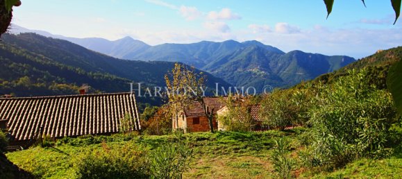 4 Schlafzimmer Haus in Rosazia, France, Nr. 317250 3