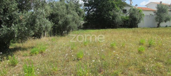 Land in Lousa, Portugal No. 58408 6