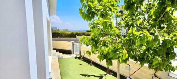 Таунхаус с 3 спальнями в Пила, Кипр № 25938 4