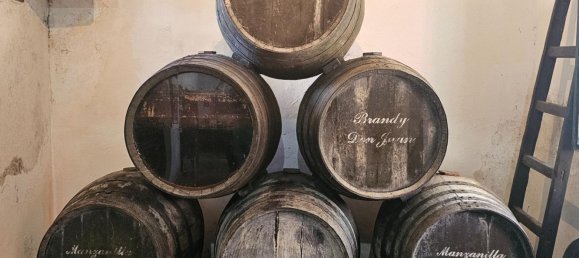 4 bedrooms House in Sanlucar de Barrameda, Spain No. 166574 18