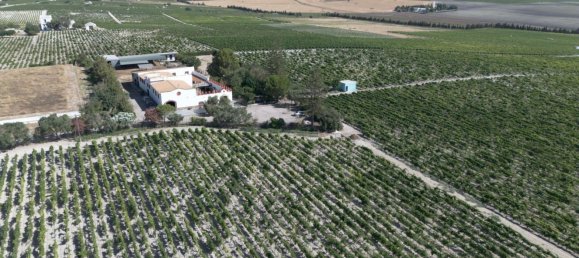 4 bedrooms House in Sanlucar de Barrameda, Spain No. 166574 33