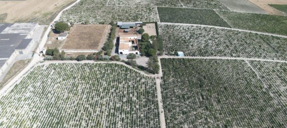 4 bedrooms House in Sanlucar de Barrameda, Spain No. 166574 34