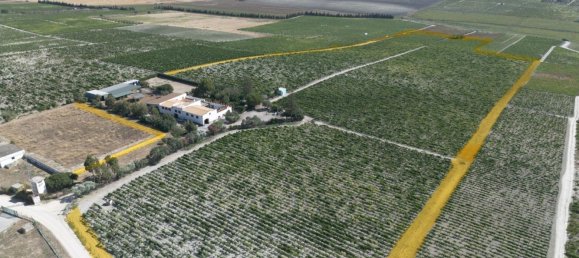 4 bedrooms House in Sanlucar de Barrameda, Spain No. 166574 32