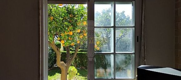 2 Schlafzimmer Haus in Torres Novas, Portugal, Nr. 17533 26