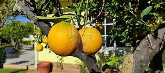 2 Schlafzimmer Haus in Torres Novas, Portugal, Nr. 17533 14