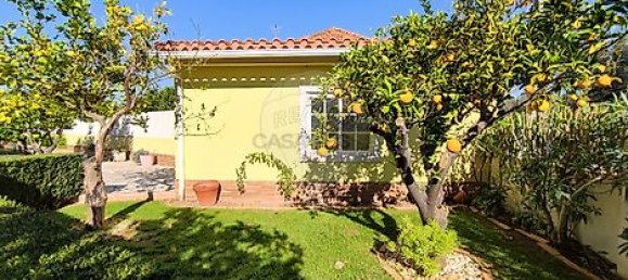 2 Schlafzimmer Haus in Torres Novas, Portugal, Nr. 17533 39