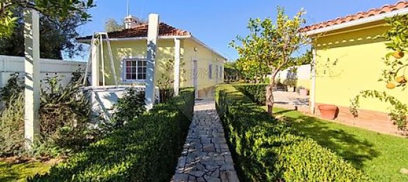 2 Schlafzimmer Haus in Torres Novas, Portugal, Nr. 17533 44