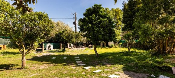 4 bedrooms House in Palmela, Portugal No. 143054 28