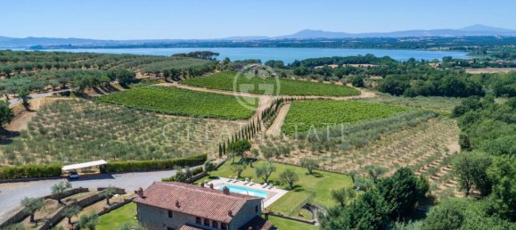 7 bedrooms House in Tuoro sul Trasimeno, Italy No. 54177 2