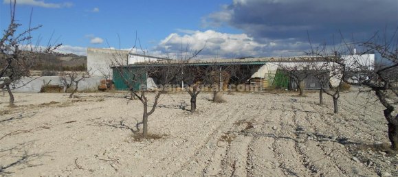 3 bedrooms Finca in Lucar, Spain No. 7345 14