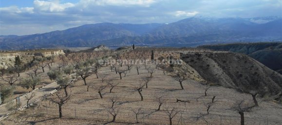 3 bedrooms Finca in Lucar, Spain No. 7345 18