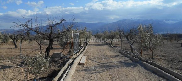 3 bedrooms Finca in Lucar, Spain No. 7345 22