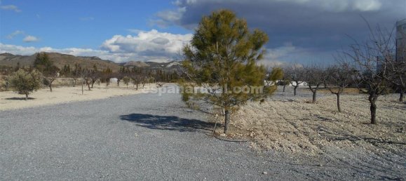 3 bedrooms Finca in Lucar, Spain No. 7345 28
