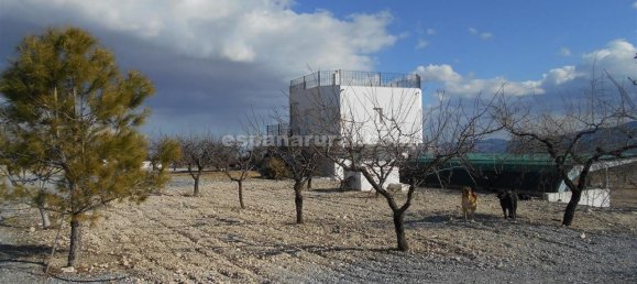 3 bedrooms Finca in Lucar, Spain No. 7345 12