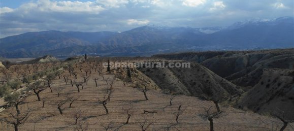 3 bedrooms Finca in Lucar, Spain No. 7345 19