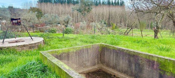 3 غرف نوم منزل في Sao Joao da Boa Vista, Portugal رقم 33679 14