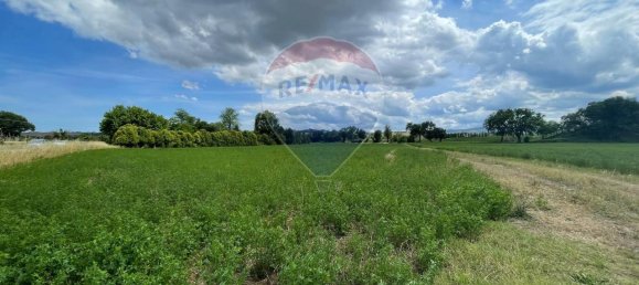 1 room Land in Monte Roberto, Italy No. 2095 38