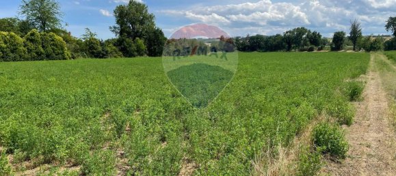 1 room Land in Monte Roberto, Italy No. 2095 2