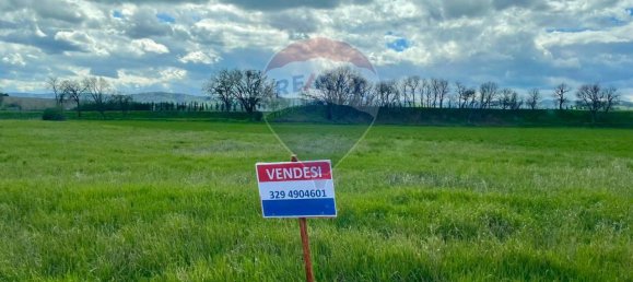 1 room Land in Monte Roberto, Italy No. 2095 20