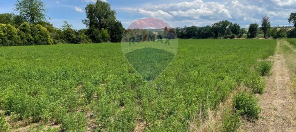 1 room Land in Monte Roberto, Italy No. 2095 44