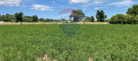 1 room Land in Monte Roberto, Italy No. 2095 46