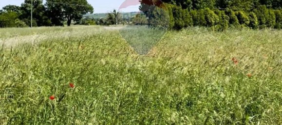 1 room Land in Monte Roberto, Italy No. 2095 22