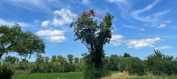 1 room Land in Monte Roberto, Italy No. 2095 15