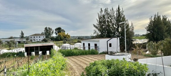 Земельный участок 3800м² в Картая, Испания № 293673 7