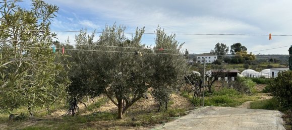 Земельный участок 3800м² в Картая, Испания № 293673 10