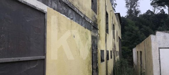 5 chambres Maison à Funchal, Portugal No. 65430 7