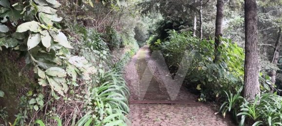 5 chambres Maison à Funchal, Portugal No. 65430 10