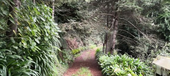 5 chambres Maison à Funchal, Portugal No. 65430 9