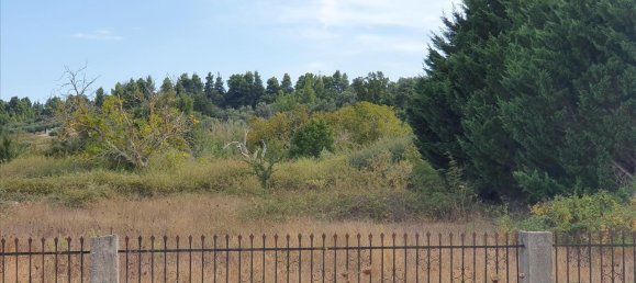 6800m² Hotel in Chalkidiki, Greece No. 4083 3