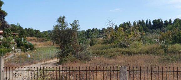 6800m² Hotel in Chalkidiki, Greece No. 4083 2