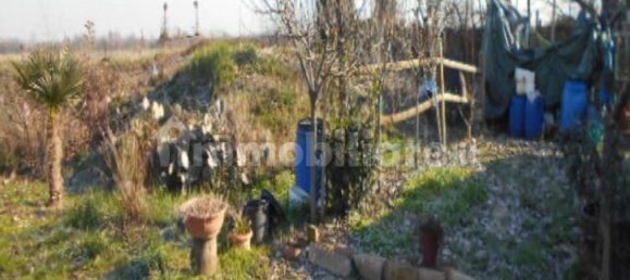 3 Schlafzimmer Wohnung in Novi di Modena, Italy, Nr. 95509 13