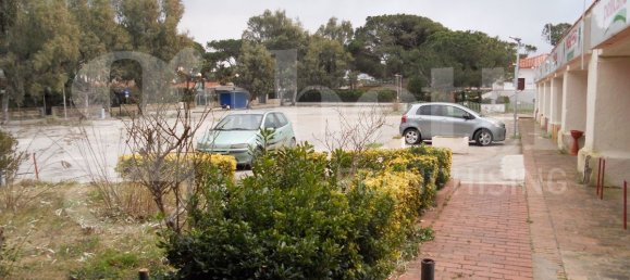 Propriété commerciale à Sessa Aurunca, Italy 110m² No. 34181 5