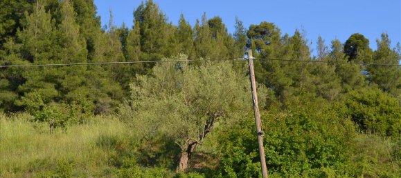 2300m² Land in Chalkidiki, Greece No. 104874 5