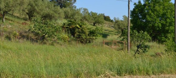 2300m² Land in Chalkidiki, Greece No. 104874 3