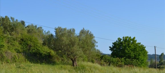 2300m² Land in Chalkidiki, Greece No. 104874 4