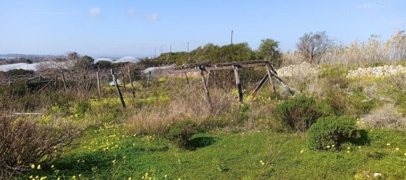 Terreno en Pachino, Italy 12820 m² No. 60421 6